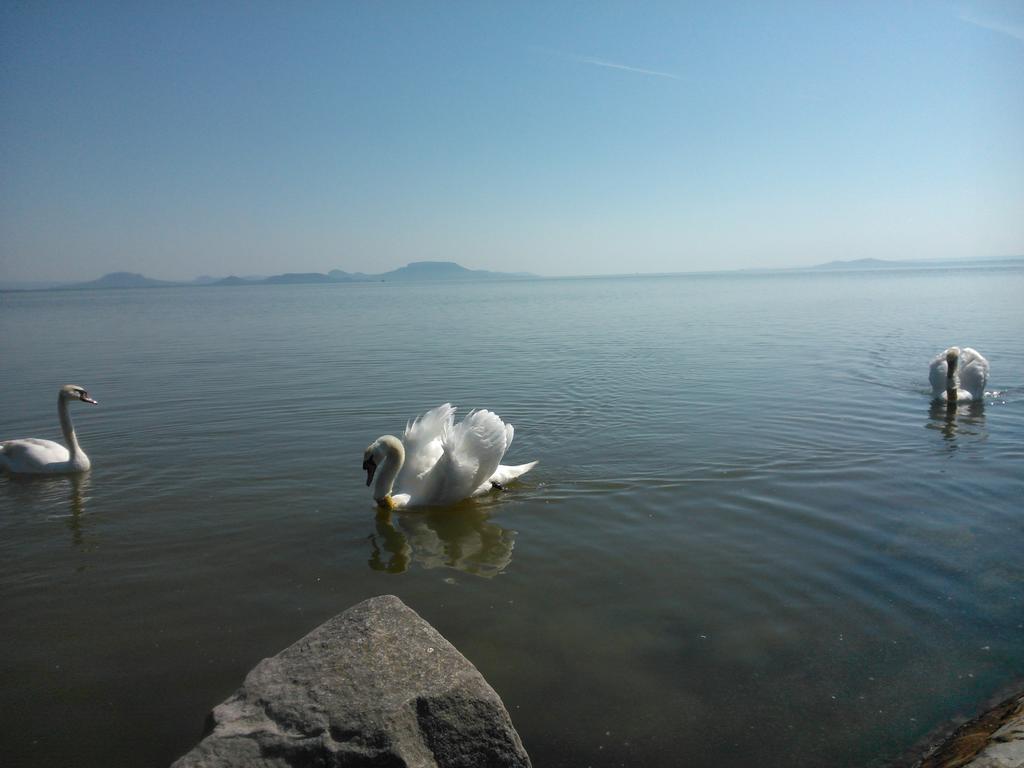 Angela Haz Lägenhet Balatonberény Rum bild
